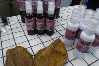 Sinh viên làm chế phẩm sinh học từ lá bàng khô