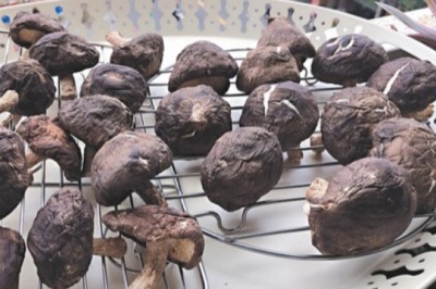 Loại nấm giàu dinh dưỡng hơn thịt bò 4 lần, đem phơi còn nhân lên lợi ích