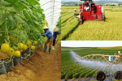 Nhựa đang tích tụ nhiều trong đất nông nghiệp đáng báo động