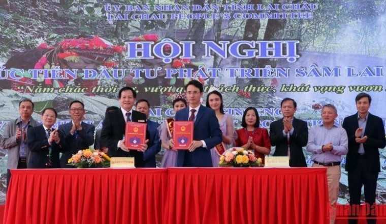 Xúc tiến các dự án đầu tư phát triển Sâm Lai Châu