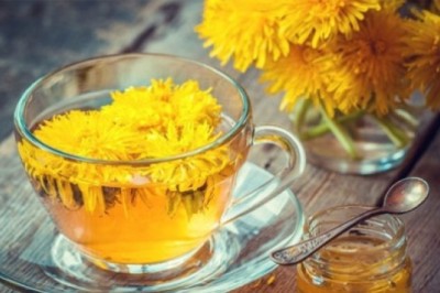 Trà bồ công anh có thể hỗ trợ tiêu diệt các tế bào ung thư theo nghiên cứu mới nhất