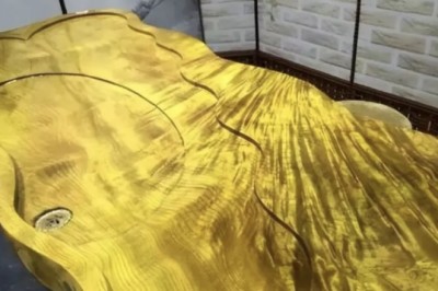 Cây gỗ Kim Tơ Nam Mộc bán giá gần 9.000 tỷ, Vậy gỗ Kim Tơ Nam Mộc có gì mà quý đến vậy?