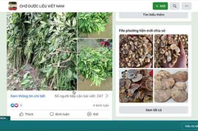 Thông tin mua bán trên trên CHỢ DƯỢC LIỆU VIỆT NAM