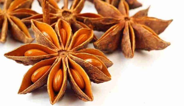 Trị đau nhức xương bằng những bài thuốc từ Cây Hồi