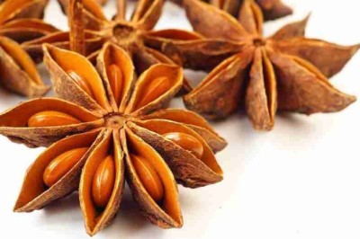 Trị đau nhức xương bằng những bài thuốc từ Cây Hồi