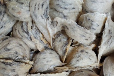 Làm thế nào để phân biệt yến sào thật, yến sào giả từ bột rau câu?