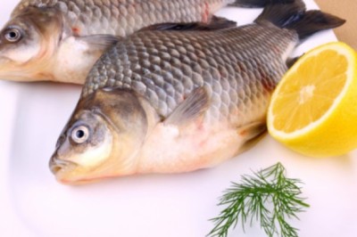 12 lợi ích tuyệt vời của Cá Chép với sức khỏe