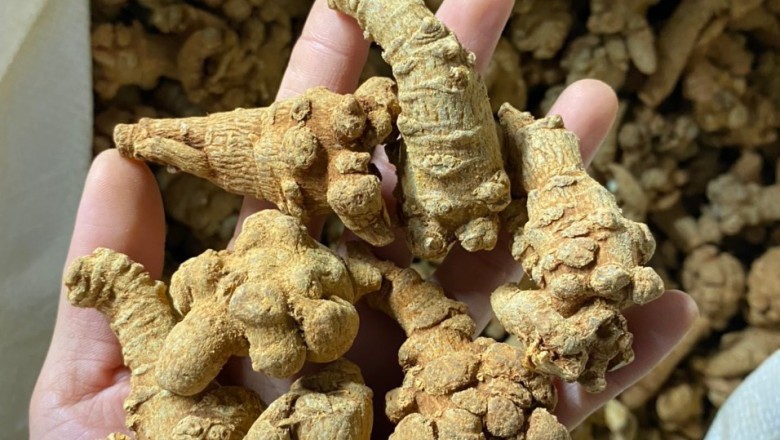 Món ăn bài thuốc dùng vị thuốc tam thất bổ dưỡng cơ thể