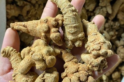 Món ăn bài thuốc dùng vị thuốc tam thất bổ dưỡng cơ thể