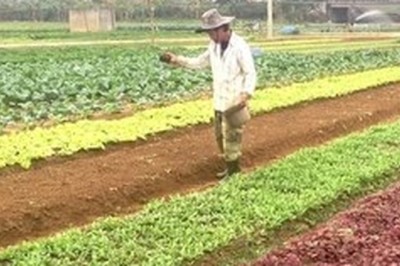 Đối tượng và điều kiện được hỗ trợ ổn định đời sống và sản xuất