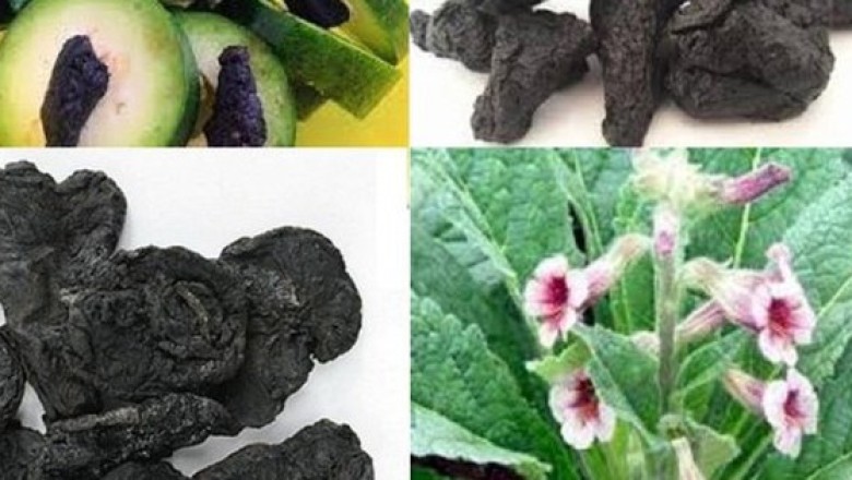 Rượu thuốc bổ khí huyết tuổi trung niên