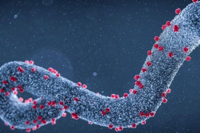 Những điều cần biết về virus Marburg gây bệnh sốt xuất huyết