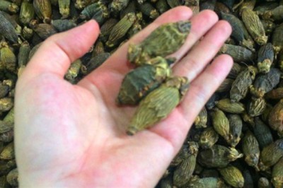 1 loại quả từ ngàn đời ở Việt Nam: Trung Quốc coi là thuốc quý, người Việt mang đi xuất khẩu giá cao