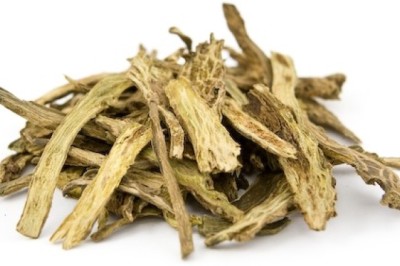 10 loại thảo dược, vị thuốc, bài thuốc y học cổ truyền có tác dụng hỗ trợ trị viêm xoang