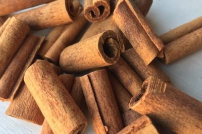 Phát triển cây dược liệu Quế ngọc Thường Xuân