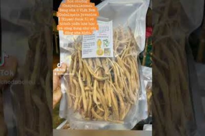 Sâm dây ngọc linh, đẳng sâm khô chuẩn sạch uy tín trên chợ