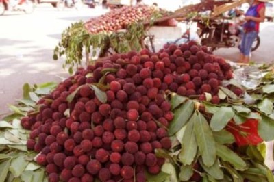 Bảo vật ăn một quả đáng giá ngàn vàng', hút lượng lớn khách Á-Âu