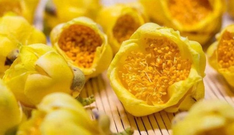 Loài 'hoa tiên' cực kỳ quý hiếm: Trung Quốc trồng bao nhiêu cũng không đủ, sang cả Việt Nam lùng mua