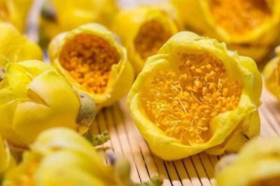 Loài 'hoa tiên' cực kỳ quý hiếm: Trung Quốc trồng bao nhiêu cũng không đủ, sang cả Việt Nam lùng mua