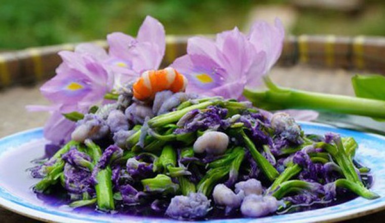 Loại cây người Việt thường vứt bỏ hóa ra lại là vị thuốc quý, món ăn ngon tại nhiều nước
