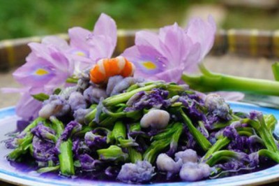 Loại cây người Việt thường vứt bỏ hóa ra lại là vị thuốc quý, món ăn ngon tại nhiều nước