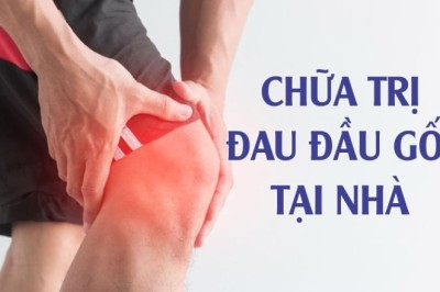 5 loại thảo mộc chống viêm tốt cho chứng đau đầu gối
