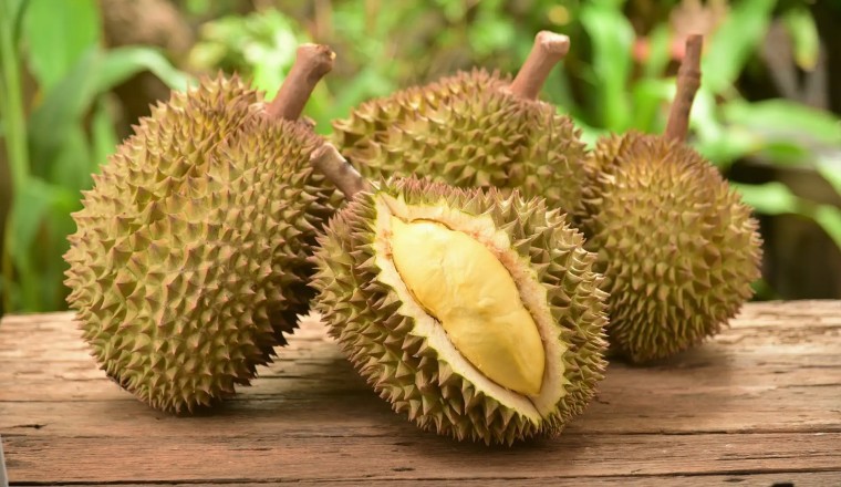 Loại quả ‘nặng mùi’ bị nhiều người chê nhưng là vị thuốc bổ, giảm mỡ máu, ngừa cả ung thư