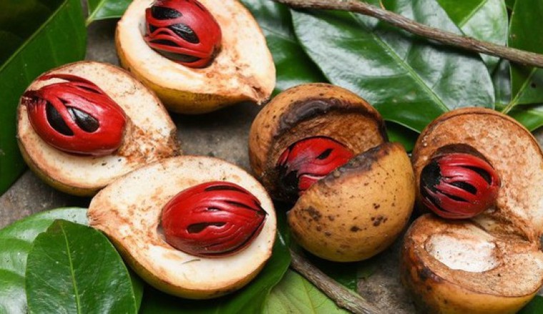 Loại quả được ví là 'gia vị tình yêu', giúp kích thích 'chuyện ấy' cuồng nhiệt