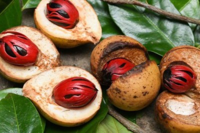 Loại quả được ví là 'gia vị tình yêu', giúp kích thích 'chuyện ấy' cuồng nhiệt