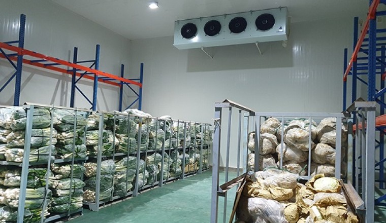 Hỗ trợ đầu tư cơ sở chế biến, nhà kho bảo quản nông sản tới 15 tỉ đồng/dự án