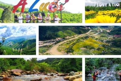 A lưới Thừa Thiên Huế tham vọng trồng 360ha đủ loại cây thuốc quý, hiếm