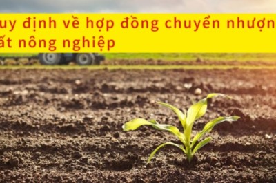 Quy định về hợp đồng chuyển nhượng đất nông nghiệp
