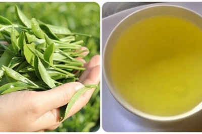 Những tác dụng phụ của việc uống trà xanh