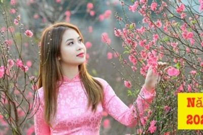 Năm 2024 là năm con gì, Năm 2024 mệnh gì, Sinh con năm 2024 có tốt không, Người sinh năm 2024 hợp màu nào?