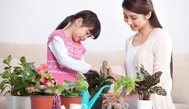 2 đặc điểm dự báo tương lai của trẻ chính xác hơn điểm số và giải thưởng: Điều thứ 2 hầu như bị bỏ qua