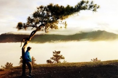 Sau một năm đi làm tôi phát hiện 4 ĐIỀU phũ phàng: Có tài chưa chắc thành công, lựa chọn quan trọng hơn nỗ lực