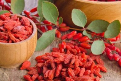 Cách dùng kỷ tử chống oxy hóa kiềm chế suy nhược chức năng ở người cao tuổi