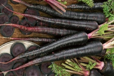 Mang đến nhiều lợi ích sức khỏe nhưng người này cần chú ý khi ăn cà rốt đen