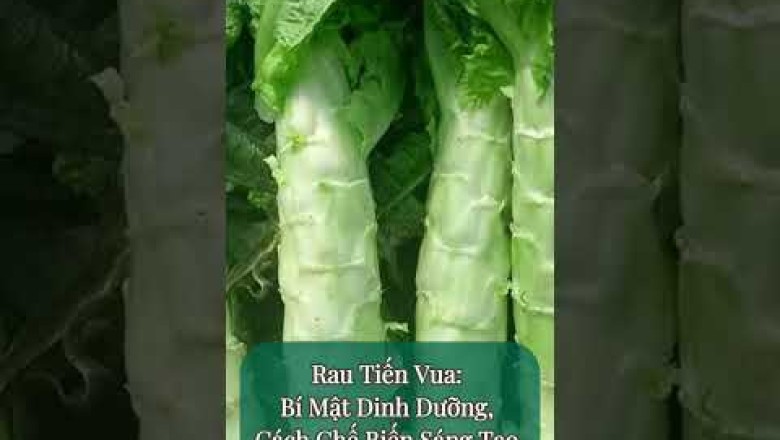 Rau Tiến Vua: Bí Mật Dinh Dưỡng, Cách Chế Biến Sáng Tạo và Lưu Ý Quan Trọng #rautienvua #suckhoe