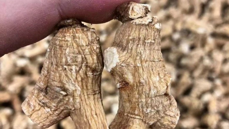Tận Hưởng Mùa Hè Khỏe Mạnh với Tây Dương Sâm: Siêu Thực Phẩm Chống Nhiệt và Bổ Dưỡng