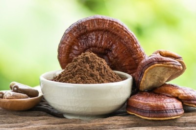 Nghiên Cứu Khoa Học Về Nấm Linh Chi: Tổng Hợp và Phân Tích Các Bằng Chứng