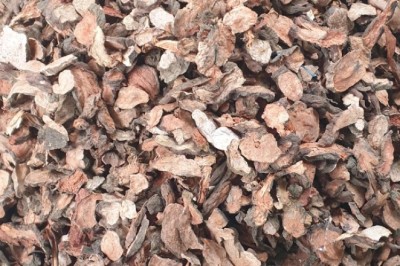 Tìm Hiểu Về Hà Thủ ô Khô - 'Vị Thuốc Quý' Cho Sức Khỏe và Sắc Đẹp