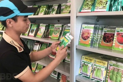 Những Cây Trồng Dược Liệu Đem Lại Kinh Tế Cao