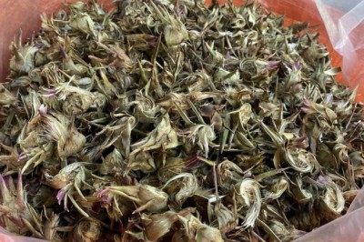 Hoa Atiso: Lợi Ích Sức Khỏe và Cách Sử Dụng