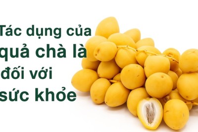 Tác dụng của quả chà là đối với sức khỏe