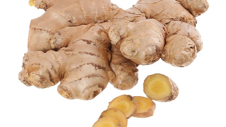 Cây Gừng – Vị Thuốc Dân Gian Hỗ Trợ Tiêu Hóa & Dạ Dày