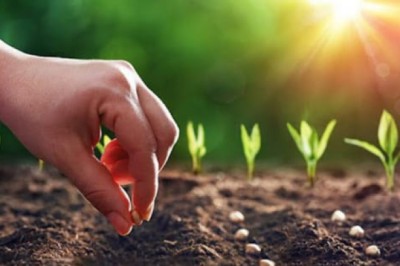 Nhân quả: Không ai được miễn trừ