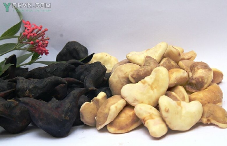 Củ ấu chứa nhiều carbohydrate, không cholesterol, ít chất béo, giúp thanh lọc cơ thể, kháng viêm.