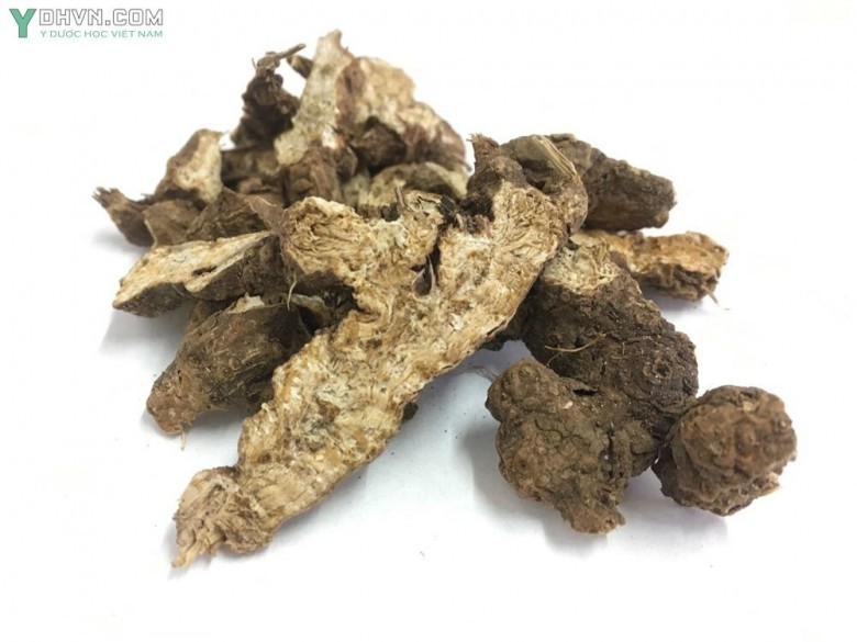Hình ảnh Dược Liệu Thương Truật đã được làm khô