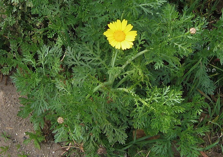 Tham khảo thêm hình ảnh